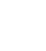 airdrop logo